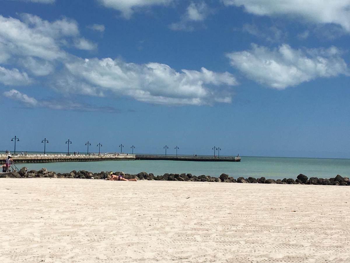 مبيت وإفطار كي وست Duval Gardens المظهر الخارجي الصورة